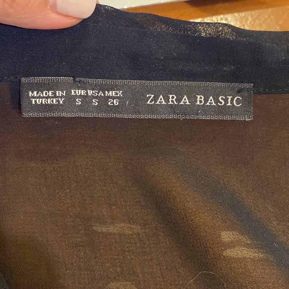 Zara Pleated Long Sleeves Button Down Sheer Blouse - Picture 4 of 4
